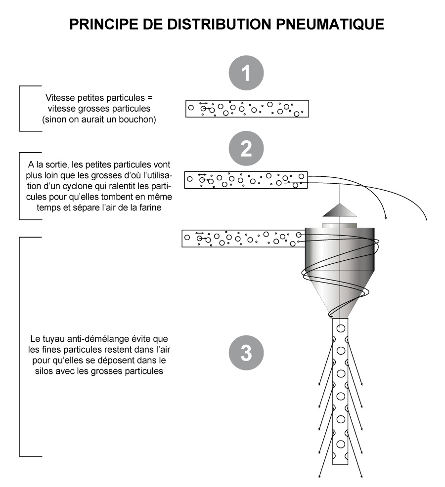 Inflatable transport and pneumatic distribution Group TOY