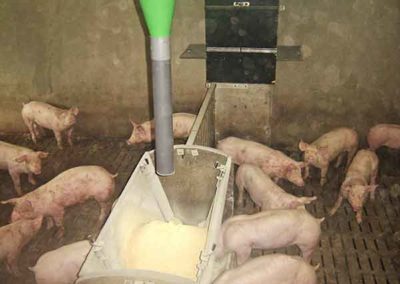 Groupe TOY distribution pneumatique en élevages porçins